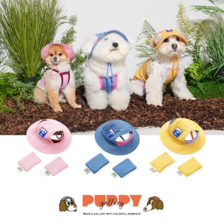 หมวกสัตว์เลี้ยง PUPPY GALLERY ไซซ์ S สีฟ้า มาพร้อม Cooling Pads_2